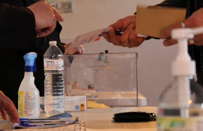 Parlamentswahlen 2024 in Saint-Etienne: die Ergebnisse der 1. Runde in den Wahlkreisen