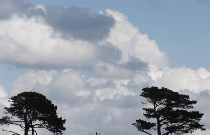 Wie wird das Wetter in Niort und Umgebung am Sonntag, den 30. Juni 2024 sein?