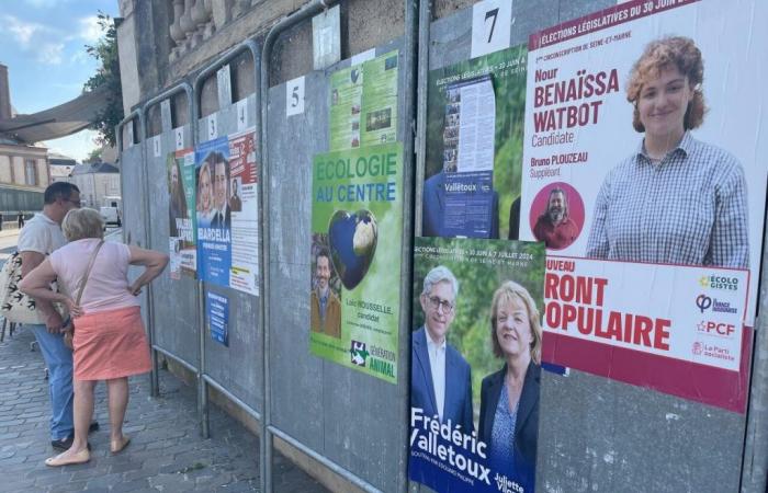 Parlamentswahlen in Seine-et-Marne. Wiederwahl, Dreiecke und Duelle: alle Ergebnisse nach Wahlkreisen