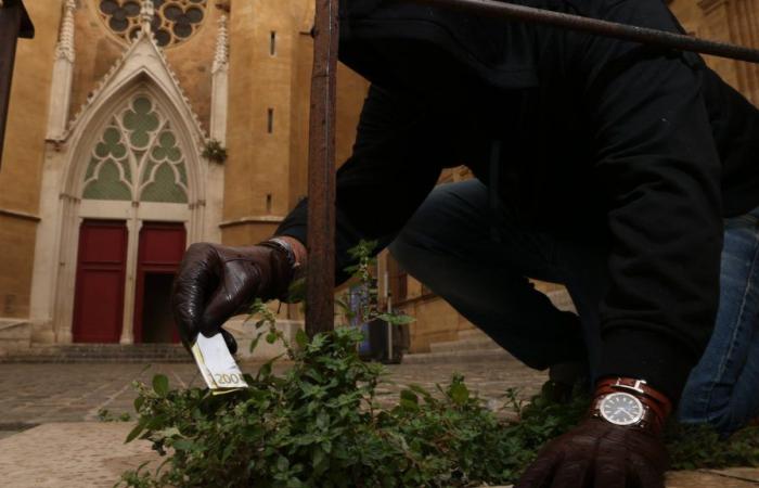 Ein mysteriöser Fremder sorgt auf Instagram für Aufsehen, indem er Tickets in Aix-en-Provence versteckt