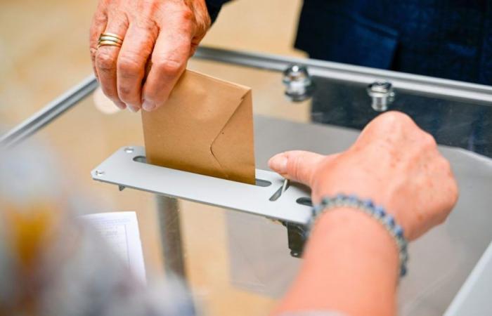 Parlamentswahlen 2024: Die RN liegt in den drei Wahlkreisen der Yonne deutlich an der Spitze