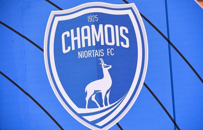 Chamois Niortais – Die Ultras rufen um Hilfe, um den Verein zu retten