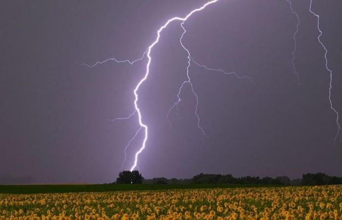 Gewitter: Mit 130.000 registrierten Blitzeinschlägen war der Samstag der elektrisierendste Tag des Jahres
