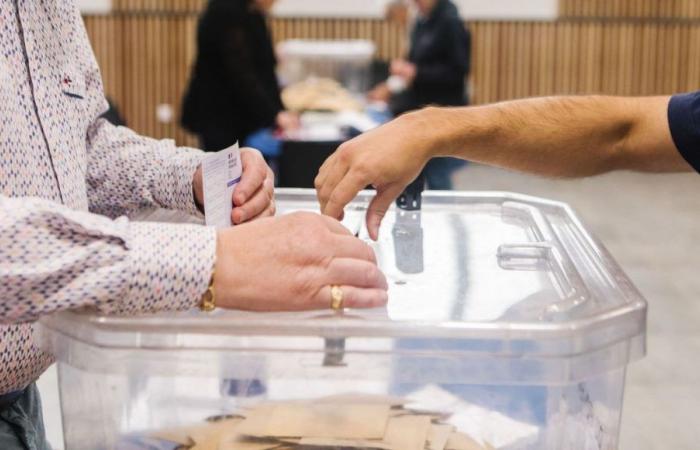 Parlamentswahlen 2024: die Ergebnisse der 1. Runde in Haute-Garonne