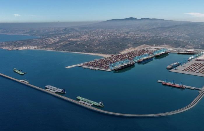 Krise im Roten Meer: Nador West Med, eine Lösung für die Überlastung des westlichen Mittelmeers