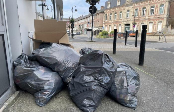 Müllsammelstreik in Abbeville: Mülltonnen bleiben auf dem Bürgersteig stehen