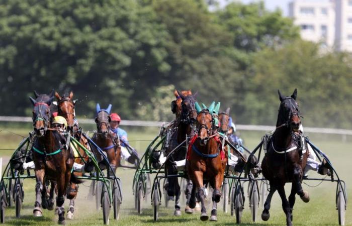 Viertes Pferderennen-Treffen an diesem Sonntag im Arras Hippodrome: unsere Prognosen