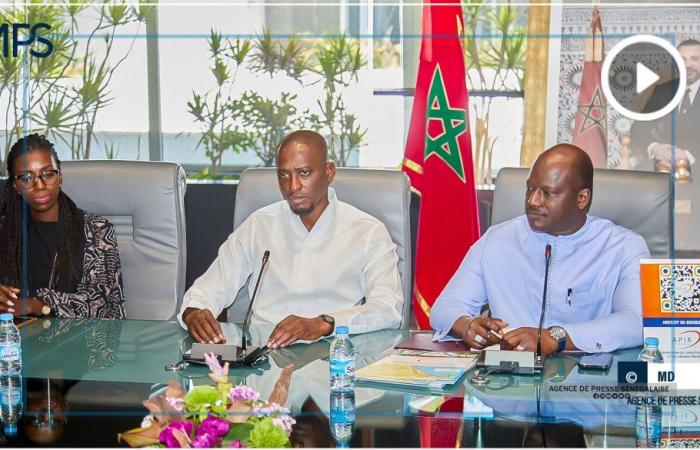 SENEGAL-WIRTSCHAFT-DIASPORA / APIX will „Diaspora-Agrargenossenschaften“ gründen – senegalesische Presseagentur