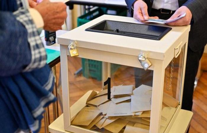 Nachrichten Stadt Niort: Parlamentswahlen am 30. Juni: Beteiligungsquote