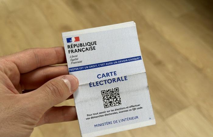 Parlamentswahlen 2024. Die RN liegt im 4. Wahlkreis der Pyrénées-Orientales weitgehend an der Spitze