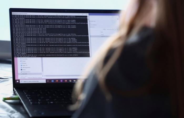 Laut Bericht sinken die Prämien für Cyberversicherungen, da Unternehmen die Sicherheit verbessern