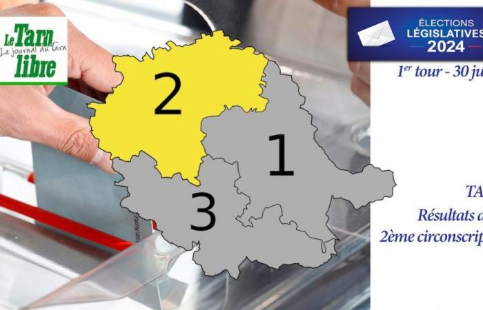Parlamentswahlen 2024 in Tarn: die Ergebnisse des 2. Wahlkreises in der 1. Runde