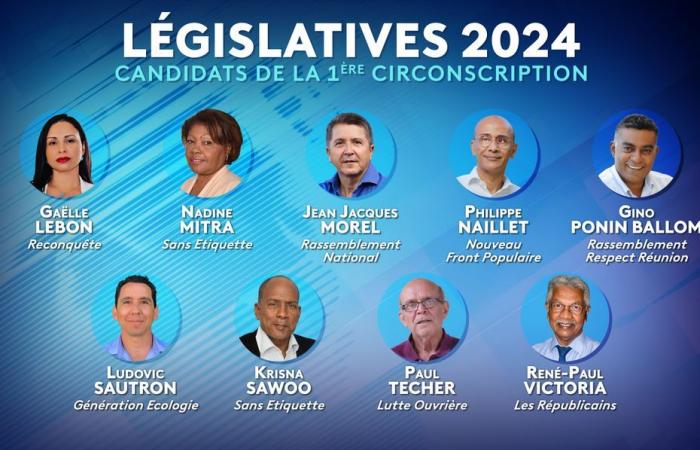 VORLÄUFIGE ERGEBNISSE. Parlamentswahlen 2024: Finden Sie die vorläufigen Ergebnisse der ersten Runde im 1. Wahlkreis von Réunion