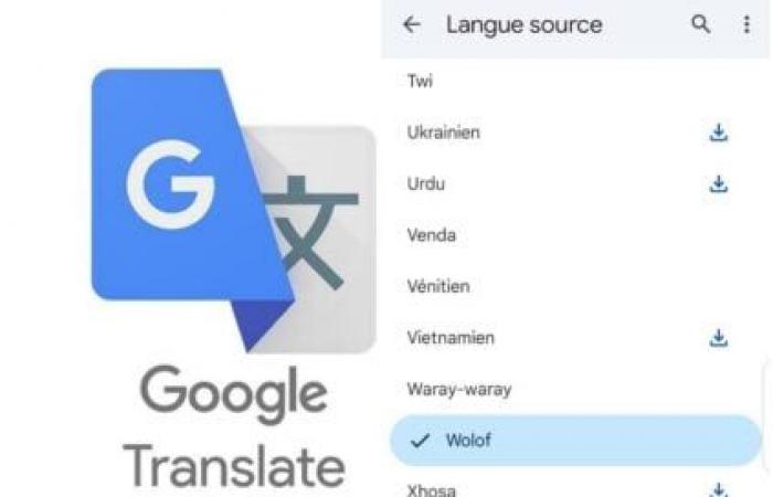 Es ist geschafft, Google kündigt eine schöne Überraschung für die Wolof-Sprache an