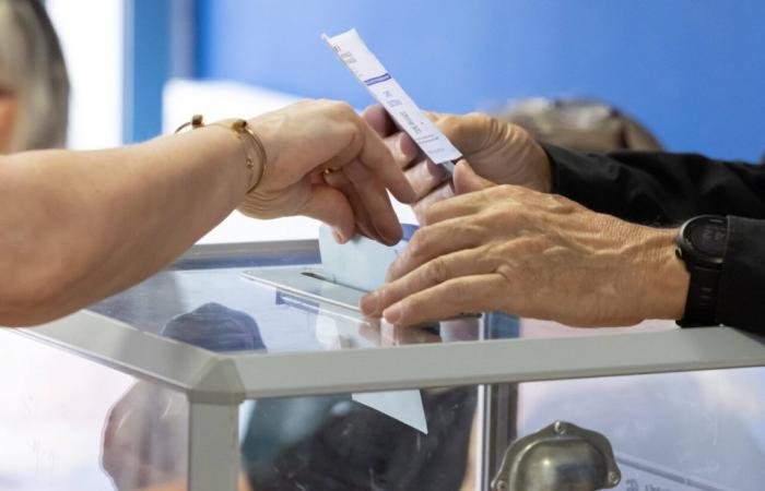 Parlamentswahlen 2024: die Ergebnisse der ersten Wahlrunde in Vaulx-en-Velin