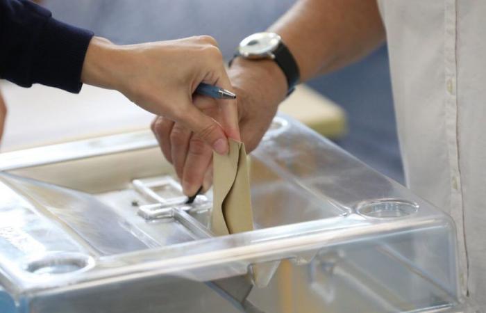 Vorgezogene Parlamentswahlen in Seine-Saint-Denis: die Herausforderungen der Abstimmung