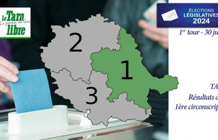 Parlamentswahlen 2024 in Tarn: die Ergebnisse des 1. Wahlkreises in der 1. Runde
