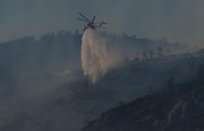 Waldbrand in der Nähe von Athen, Behörden warnen vor sehr hoher Brandgefahr in sechs Regionen