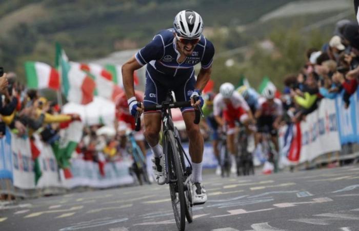 Tour de France: Warum Julian Alaphilippe Romain Bardet an diesem Sonntag zwischen 14:30 und 15:00 Uhr die Show stehlen wird