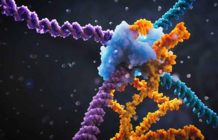 eine neue Technik zur Genbearbeitung, die effizienter und präziser als CRISPR ist