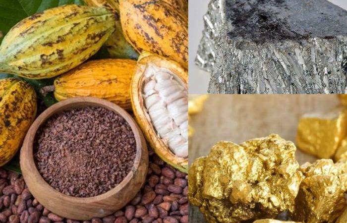 Rohstoffe: Kakao bricht zusammen, Zink rückt vor, Gold schläft