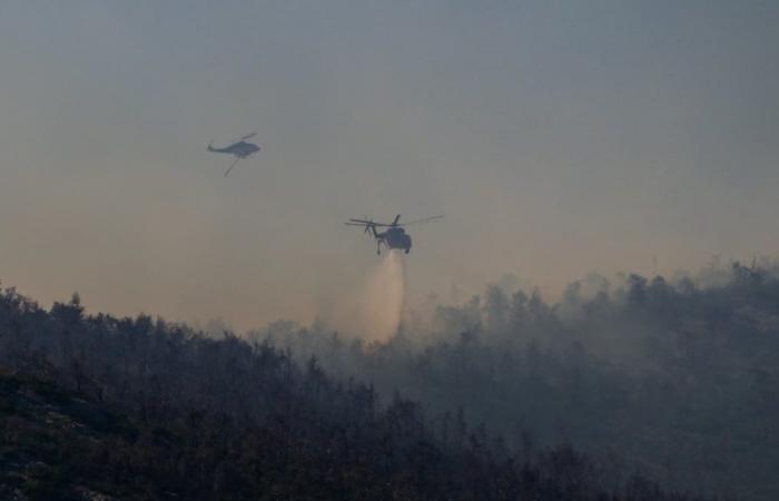 In der Nähe von Athen bricht ein Waldbrand aus, in sechs Regionen ist die Gefahr sehr hoch