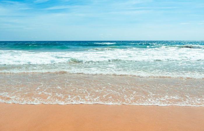 Meerwasser, Meeresluft: Die Vorteile des Meeres für unsere Gesundheit