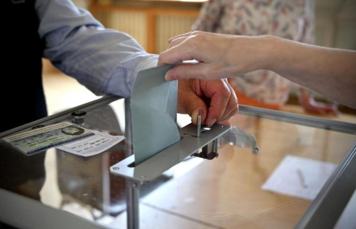 Parlamentswahlen 2024: Die Ergebnisse der ersten Wahlrunde in Vénissieux