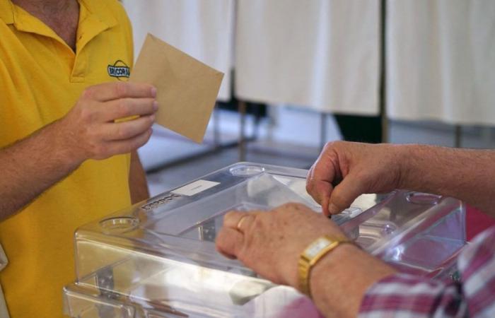 Parlamentswahlen 2024: die Ergebnisse der 1. Runde in Vaucluse