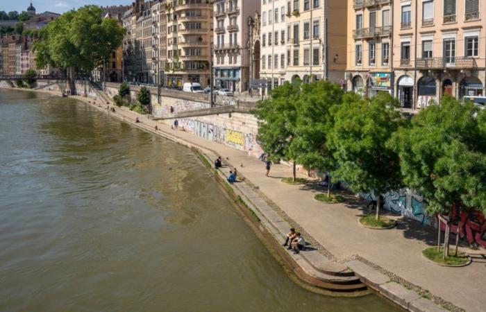 Die Seine in Paris ist immer noch nicht zum Schwimmen geeignet, aber in Lyon können die Bewohner in der Rhône schwimmen