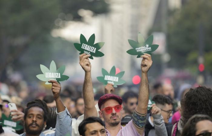 Cannabisbesitz in Brasilien entkriminalisiert: die neuen Spielregeln