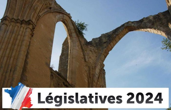Ergebnis der Parlamentswahlen 2024 in Dammarie-les-Lys (77190) – 1. Runde [PUBLIE]