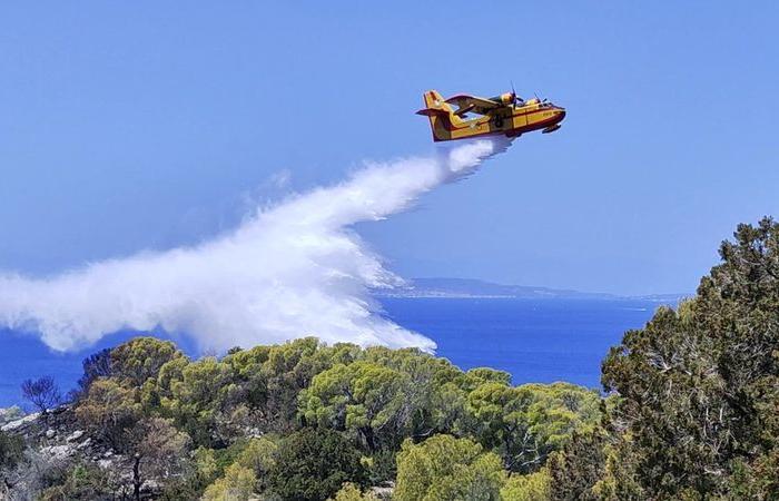 Der griechische Premierminister warnt vor Waldbränden in diesem Sommer