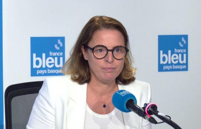 Parlamentswahlen 2024: Florence Lasserre zieht ihre Kandidatur im 5. Wahlkreis Pyrénées-Atlantiques zurück