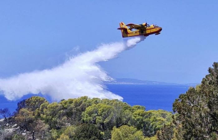 Zwei große Brände in der Nähe von Athen kündigen einen schwierigen Sommer an