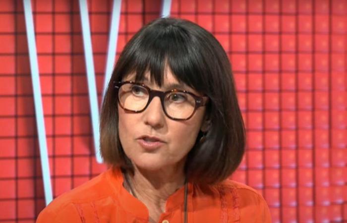 Alexia Laroche-Joubert spricht über Cyril Hanounas Sanktionen im TPMP: „Die Realität ist, dass…“