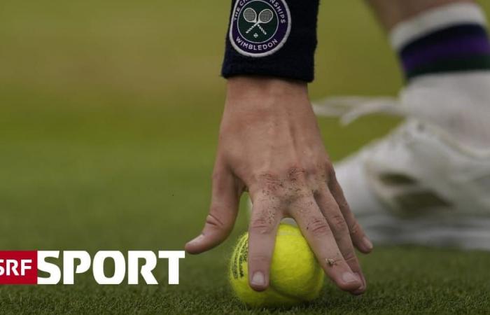 Im unkommentierten Livestream – Wimbledon total bei SRF: Alle Matches von den 3 grössten Courts – Sport