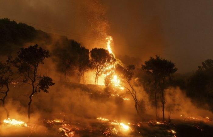 Im Nordwesten Griechenlands wüten zwei Waldbrände