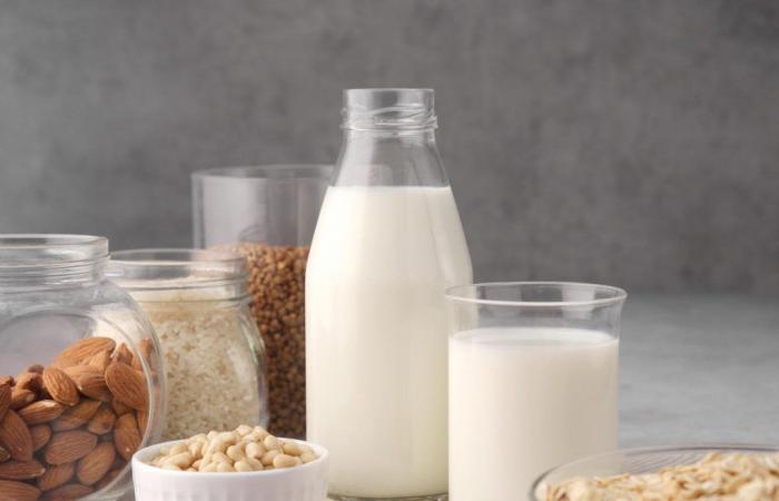 Der Konsum pflanzlicher Getränke anstelle von Milch wäre riskant, sagt die WHO
