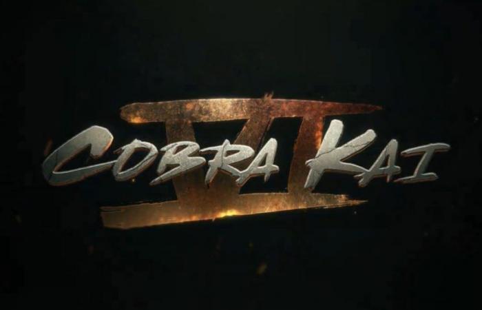 JVMag – [UP] Cobrai Kai: Trailer zur letzten Staffel