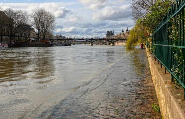 Seine in Paris: Die Durchflussraten beginnen wieder zu steigen