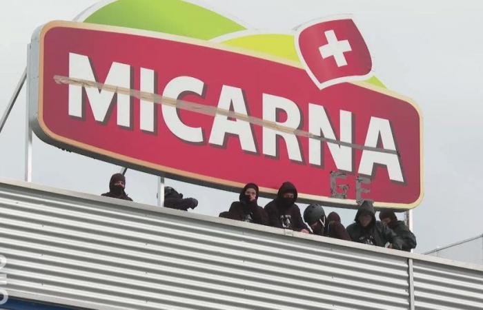 Anti-Speziesisten, die einen von der Polizei evakuierten Schlachthof in Micarna blockierten – rts.ch