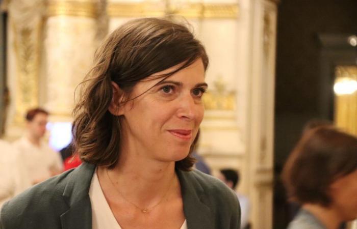 Parlamentswahlen 2024. Sandrine Runel liegt im 4. Wahlkreis Rhône vorn, Anne Brugnera in Gefahr