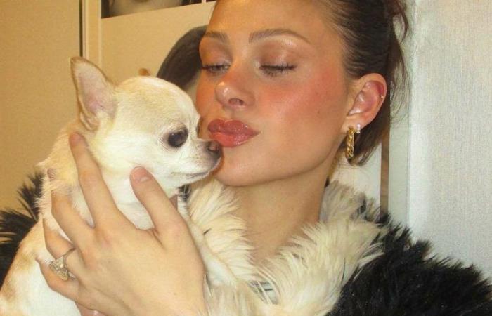 Nicola Peltz: Ihr kleiner Hund stirbt nach der Fellpflege in New York