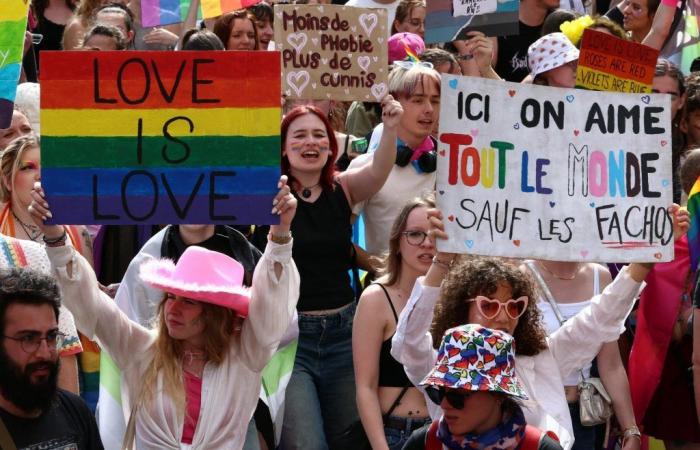 Parlamentswahlen in Frankreich: LGBT+-Minderheiten in Straßburg befürchten einen Sieg der RN
