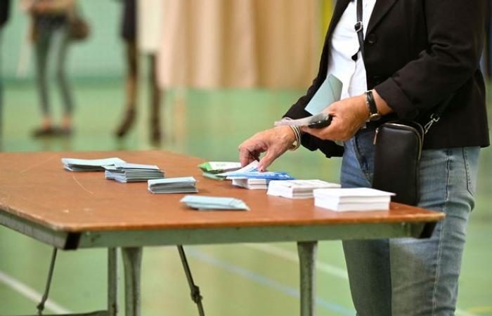 Erste Runde der Parlamentswahlen 2024: Entdecken Sie den Spitzenkandidaten in Saint-Pantaléon-de-Larche