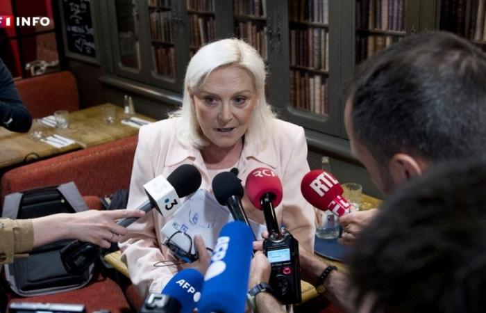Wer ist diese andere Le Pen, die für einen Sitz in der Nationalversammlung kandidiert?