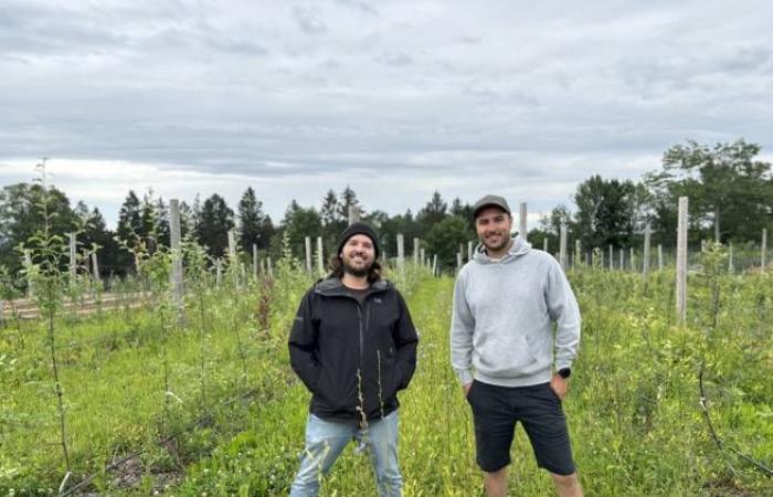 Eine Apfelweinfarm, nur einen Steinwurf von der Innenstadt von Sherbrooke entfernt