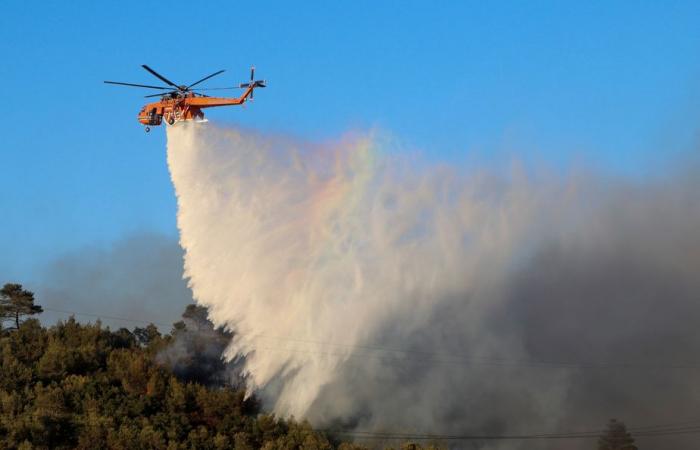 Griechenland | Waldbrände in der Nähe von Athen unter Kontrolle gebracht, Behörden befürchten einen schwierigen Sommer