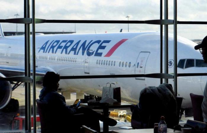 Air France rechnet in diesem Sommer mit einem Umsatzrückgang